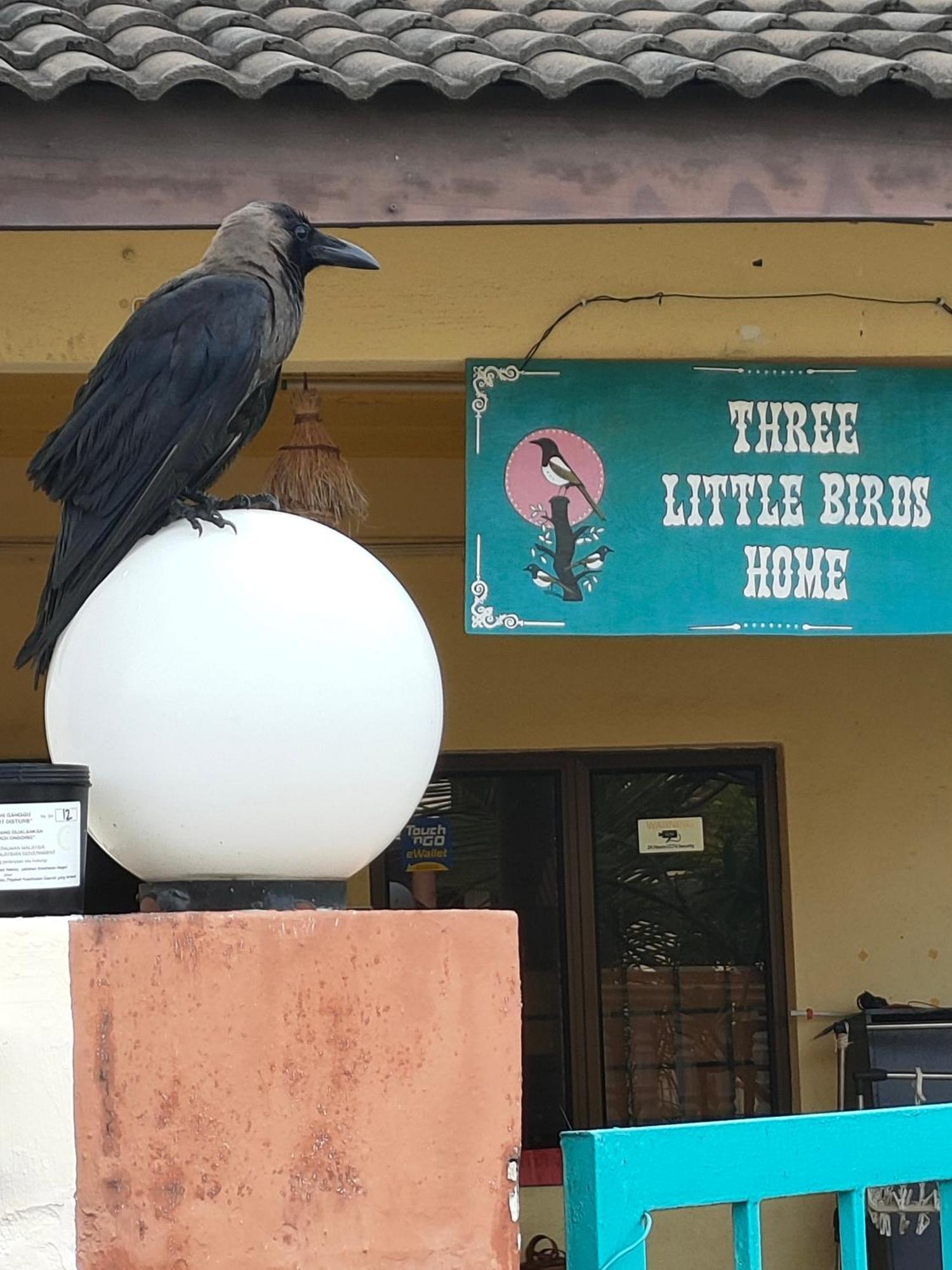 3 Little Birds Home, 100Meter To Jonkerwalk Malacca Εξωτερικό φωτογραφία